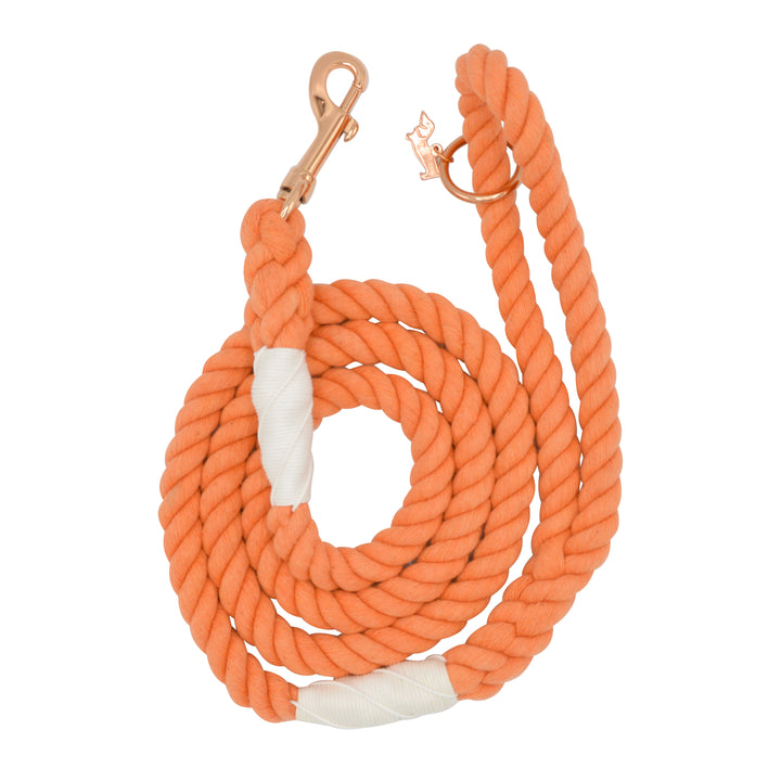 Rope Leash  5 Feet Orange  clementine