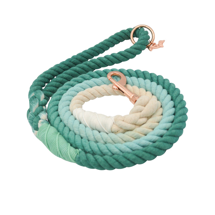 Rope Leash  5 Feet Multi  ombre teal