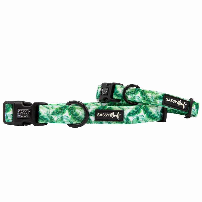 Sassy Woof Dog Collars - Small Verano