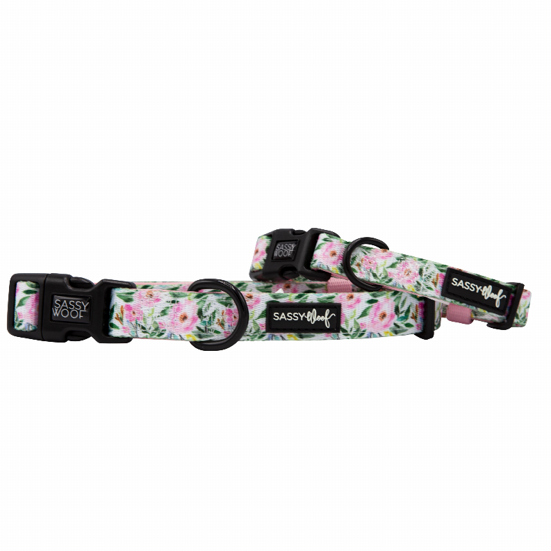 Sassy Woof Dog Collars - Large Magnolia