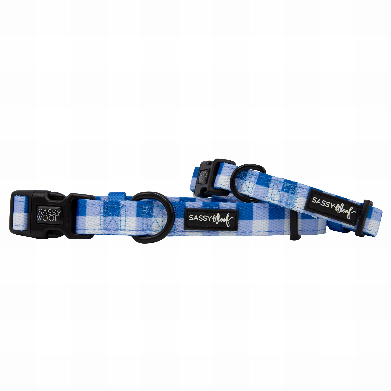 Sassy Woof Dog Collars - Medium The Wizard of Paws