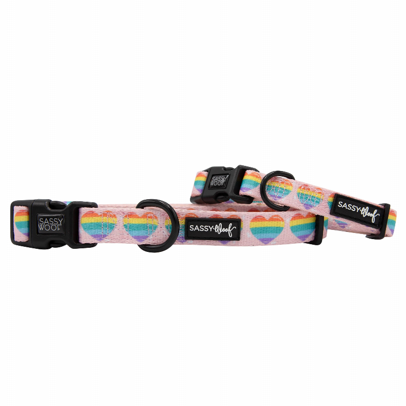 Sassy Woof Dog Collars - Large Paws of Love