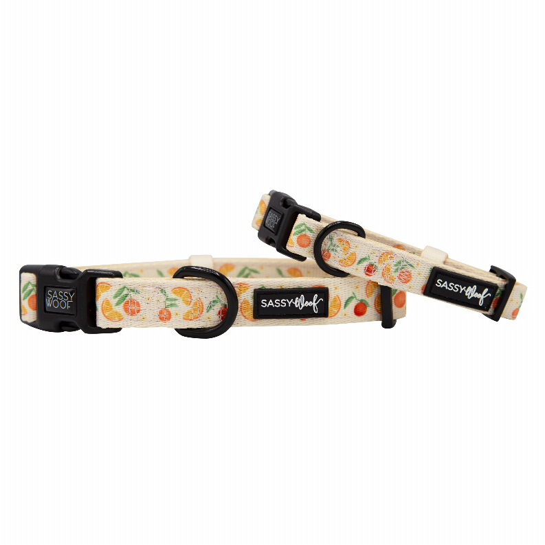 Sassy Woof Dog Collars - Large Simply the Zest