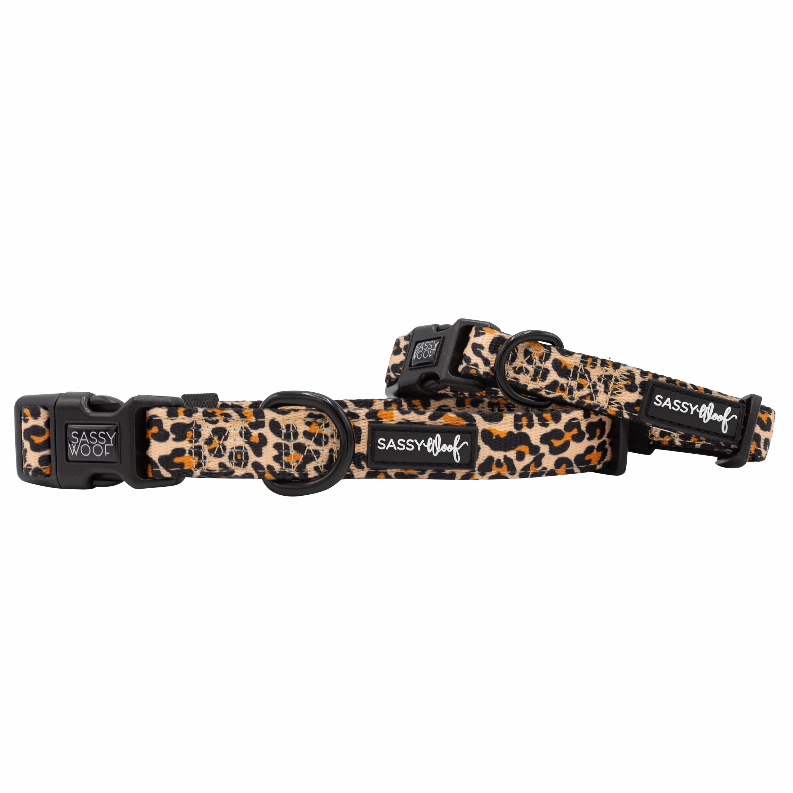 Sassy Woof Dog Collars - Large Sass Gone Wild