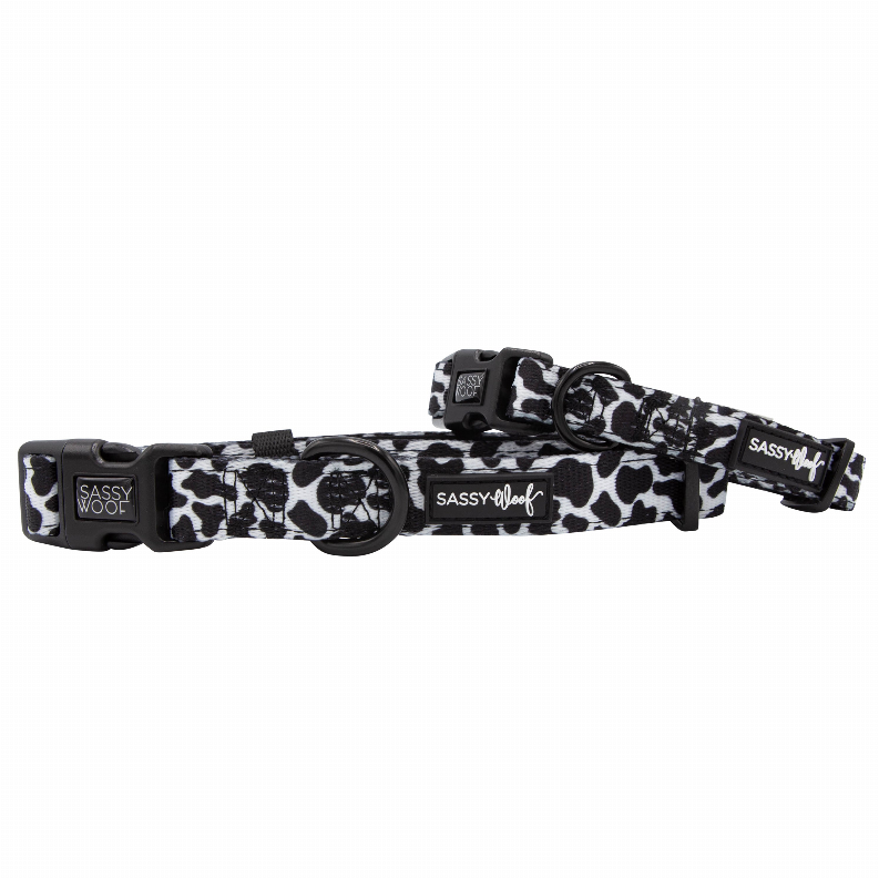 Sassy Woof Dog Collars - Small Got Milk?