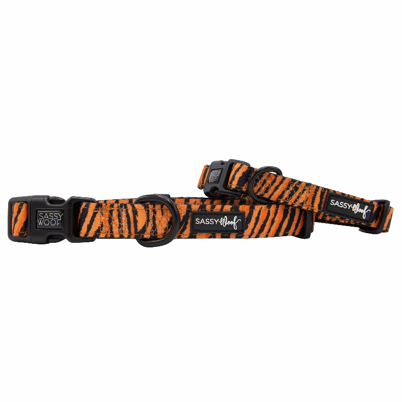 Sassy Woof Dog Collars - Small Paw of the Tiger