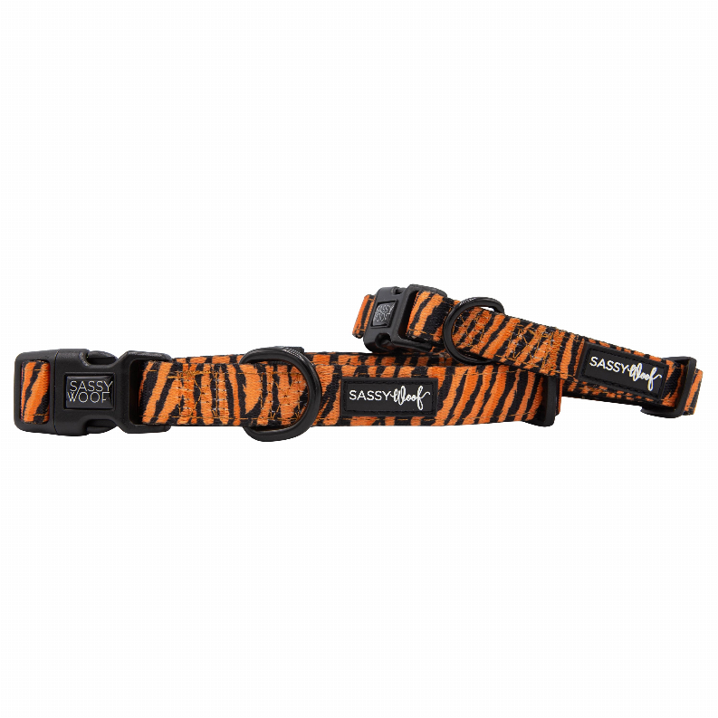 Sassy Woof Dog Collars - Medium Paw of the Tiger