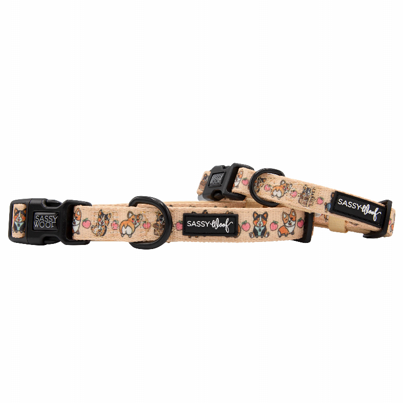 Sassy Woof Dog Collars - Small Corgilicious