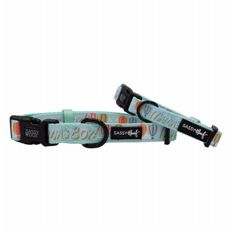 Sassy Woof Dog Collars - Medium Mama's Boy