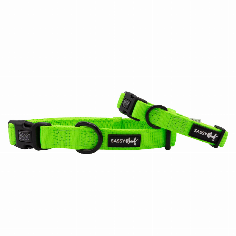Sassy Woof Dog Collars - Small Neon Green