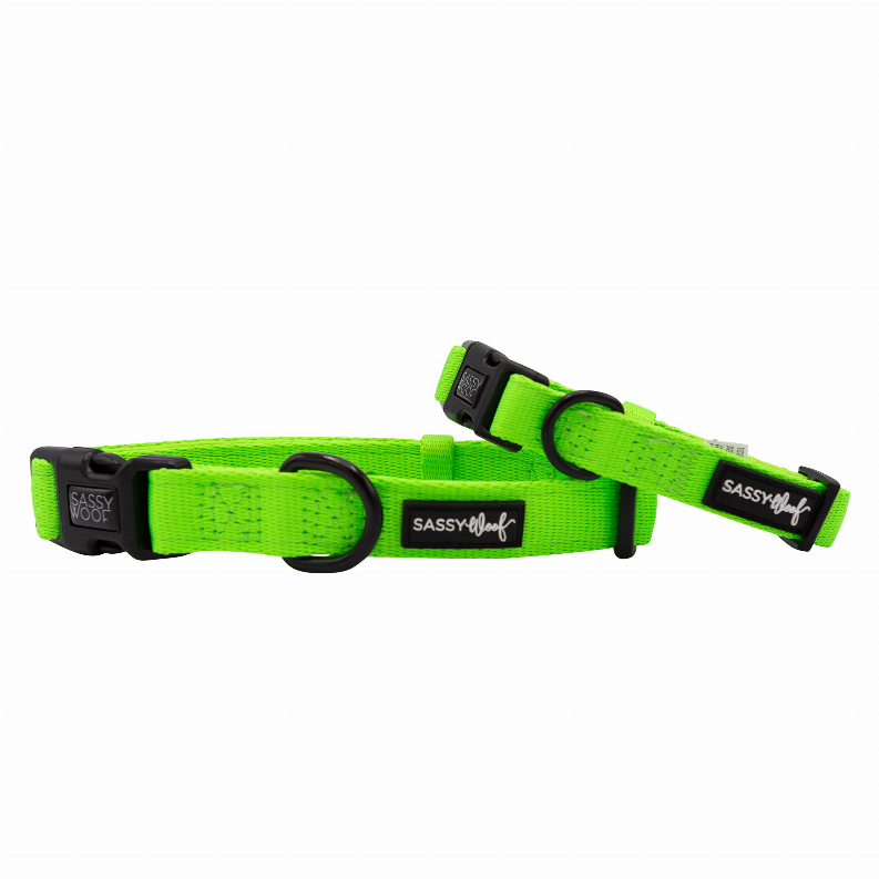 Sassy Woof Dog Collars - Large Neon Green