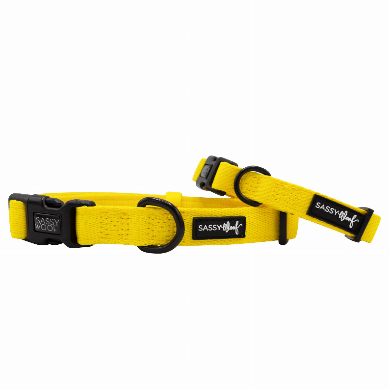 Sassy Woof Dog Collars - Medium Neon Yellow