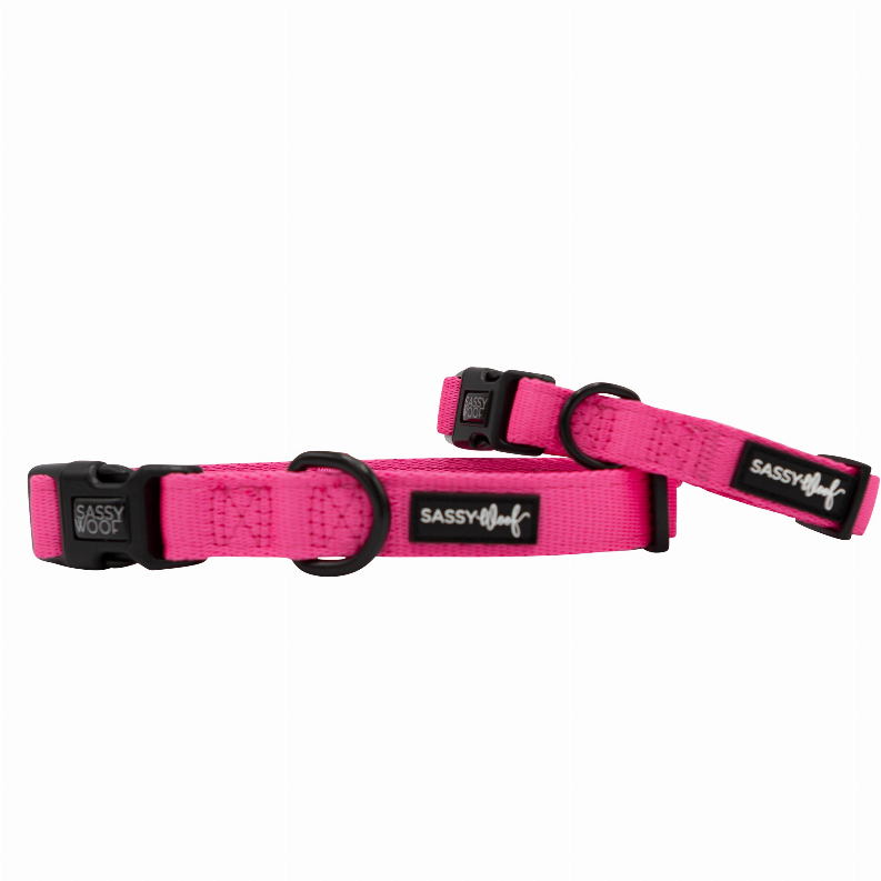 Sassy Woof Dog Collars - Medium Neon Pink