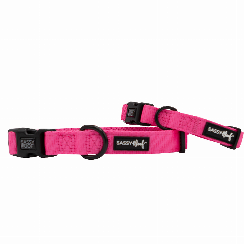 Sassy Woof Dog Collars - Large Neon Pink