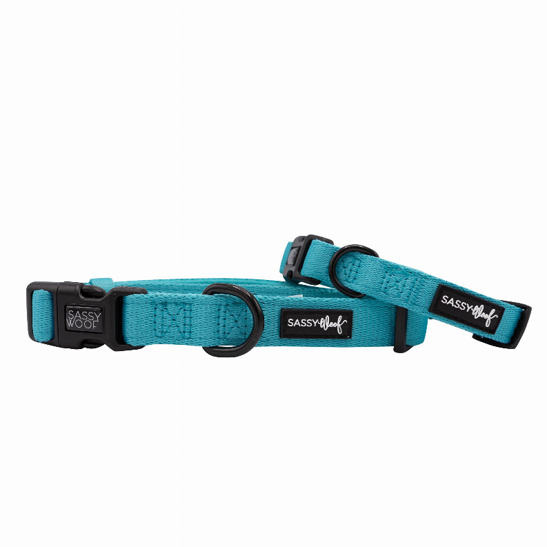 Sassy Woof Dog Collars - Small Neon Blue