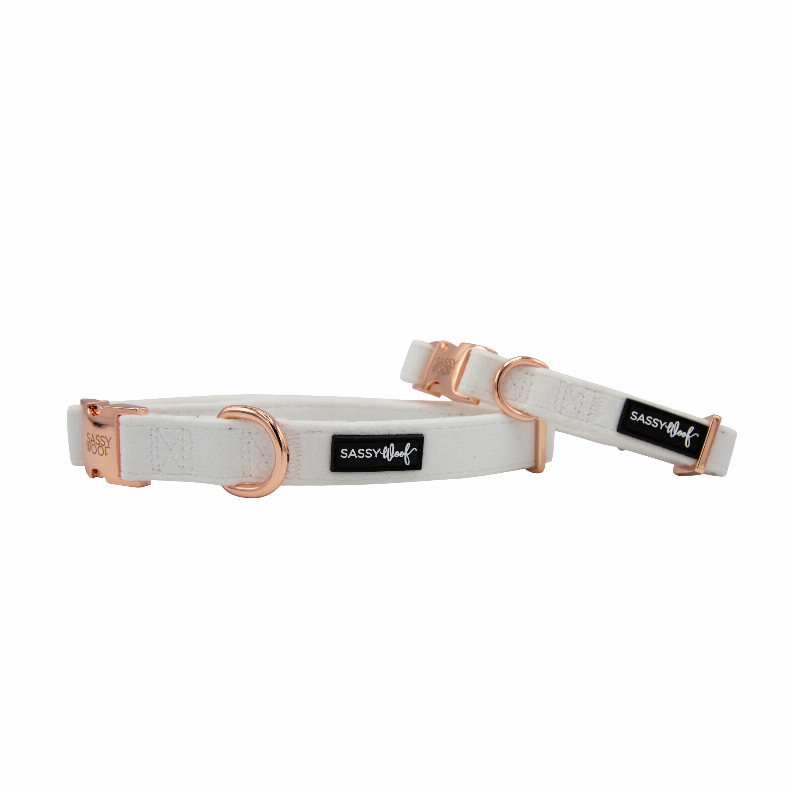 Sassy Woof Dog Collars - Small I Do, Too (White)