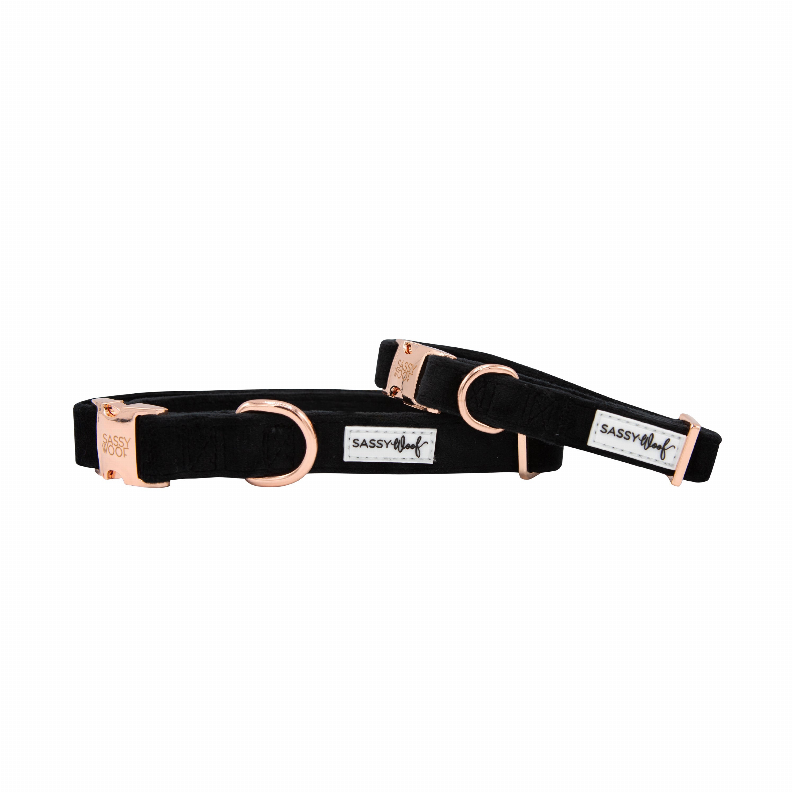 Sassy Woof Dog Collars - Medium I Do, Too (Black)