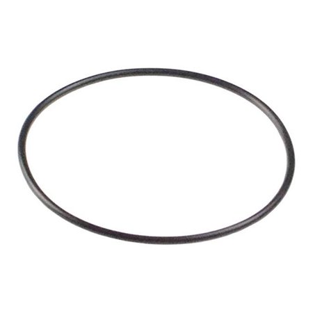 10 Pack O-Ring Kit For Waterguard Filter Housing