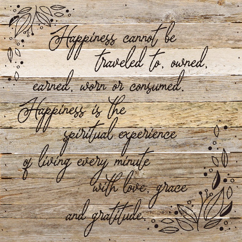 Happiness cannot be traveled to own... Wall Sign
