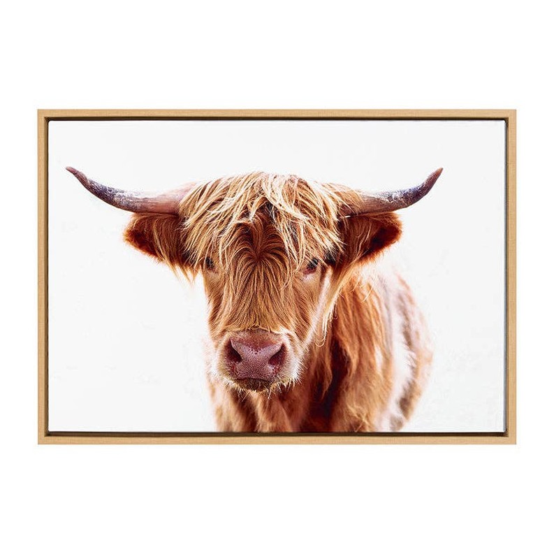 Highland Cow / Framed Canvas