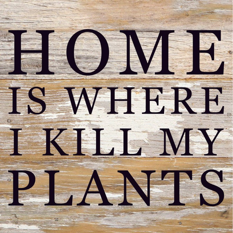 Home Is Where I Kill My Plants... Wood Sign