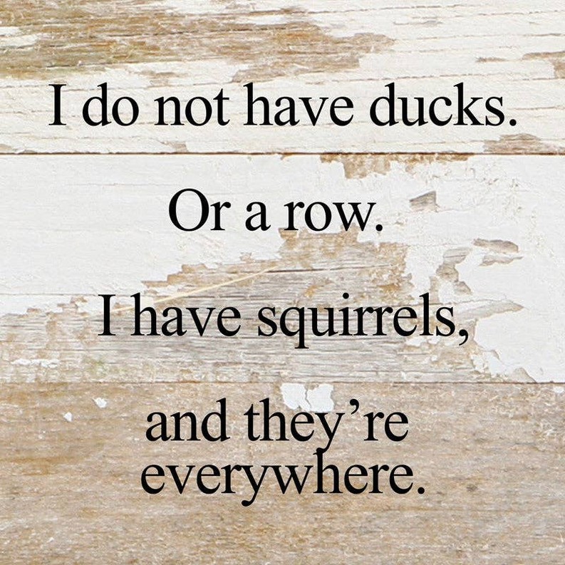 I do not have ducks Wall Sign