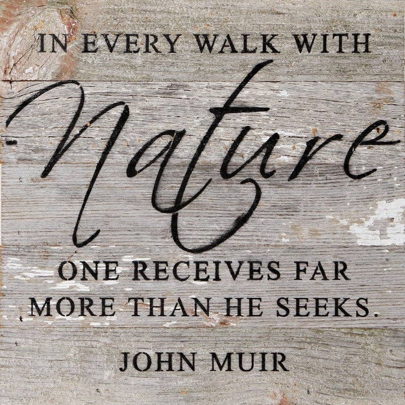 In every walk with nature one...  Wall Sign