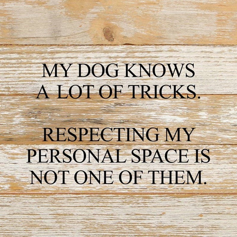 My dog knows a lot of tricks Wall Sign
