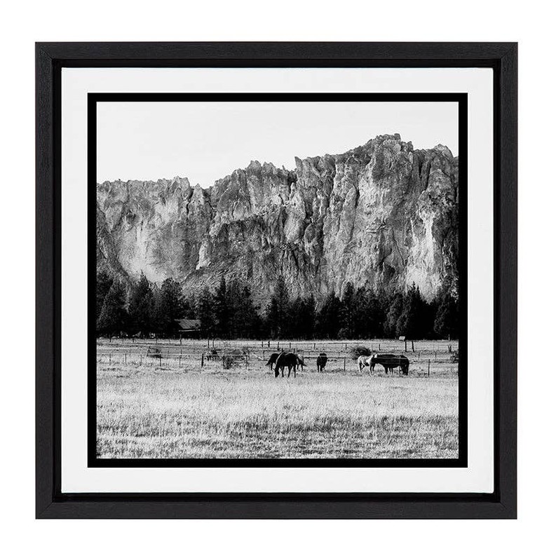 Out West / Framed Canvas