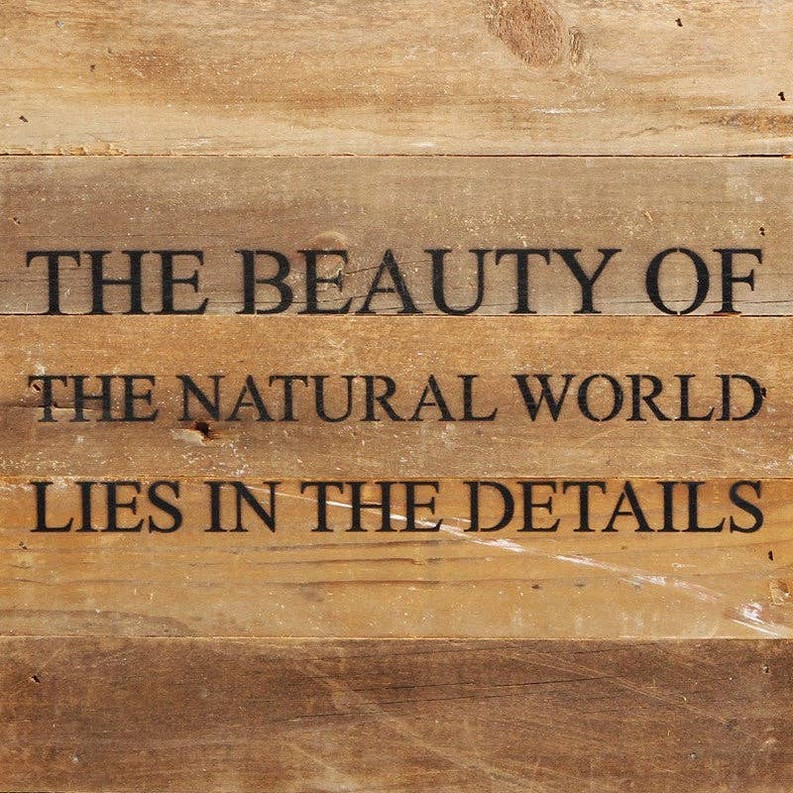 The beauty of the natural world lie... Wall Sign