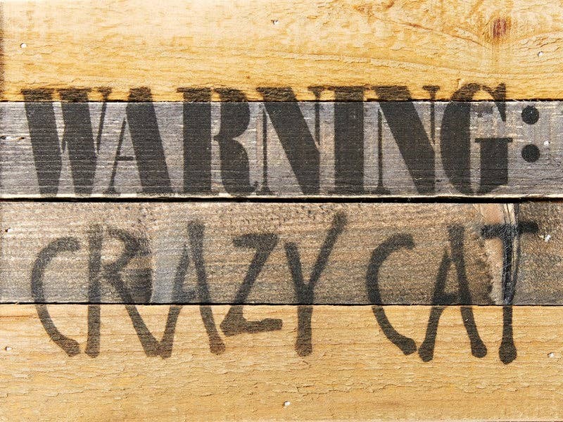 Warning: Crazy Cat... Wall Sign