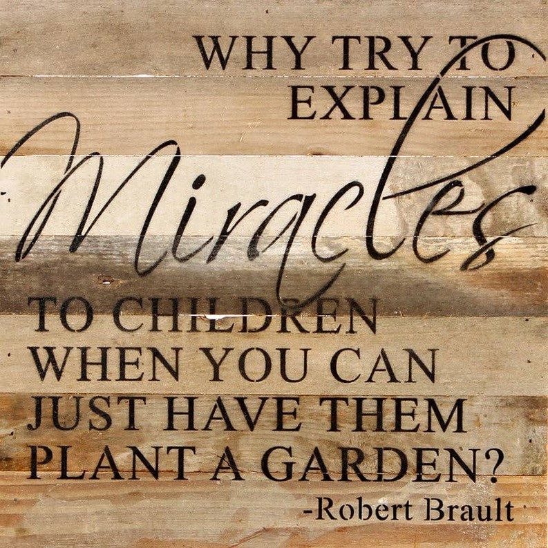 Why try to explain miracles to children... Wall Sign