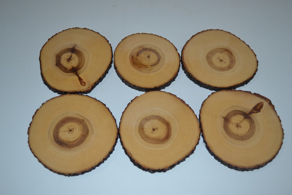 Aspen Log Coasters Set of Six