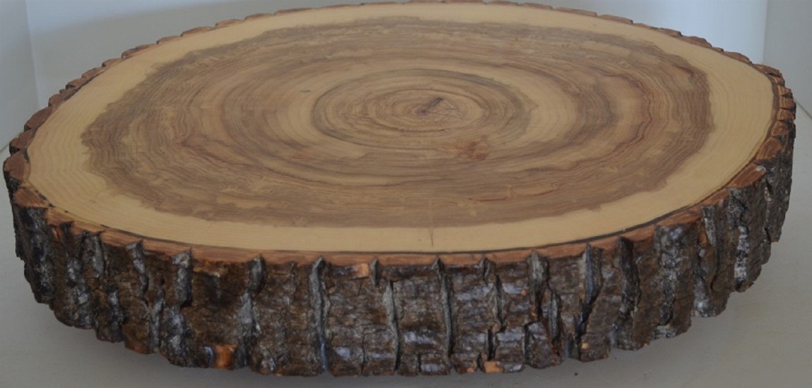 Log Slice Slab for Charcuterie board, Cake Stand, Cutting Board, Food Serving, or Center Piece, NO Legs, With Bark