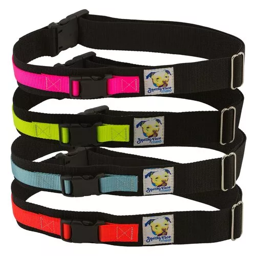 Hands Free Dog Leash Belt - Small-Medium Hot Pink