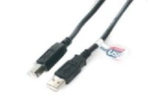6' USB 2.0 A to B Cable  MM