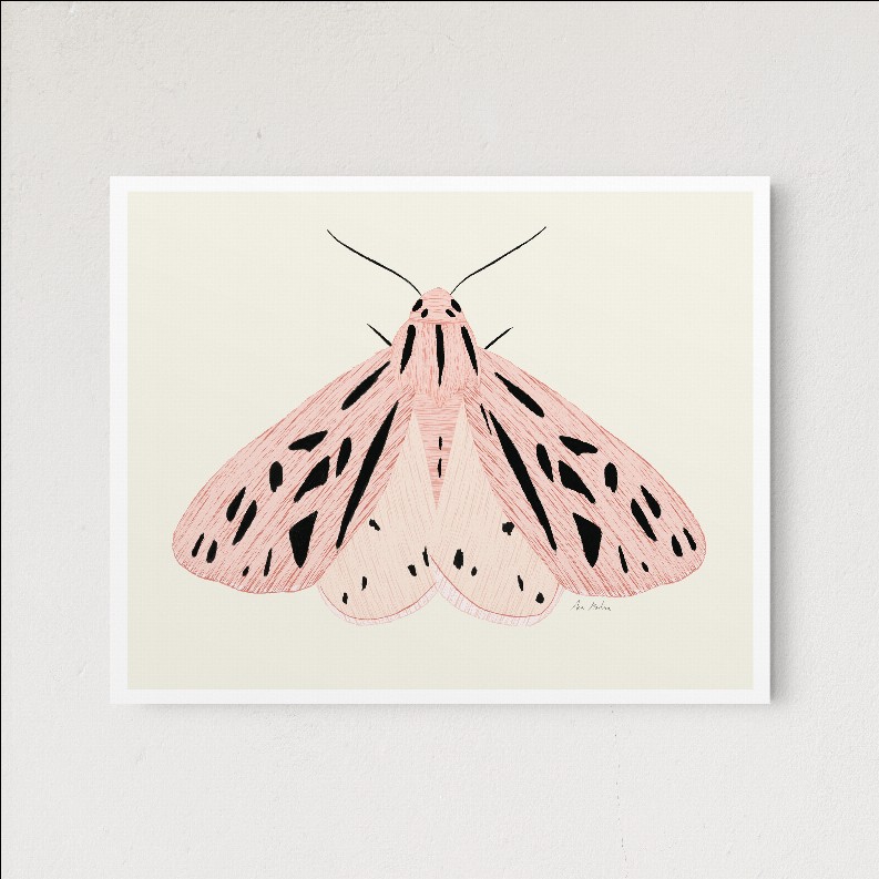 Pink Moth - 8x10