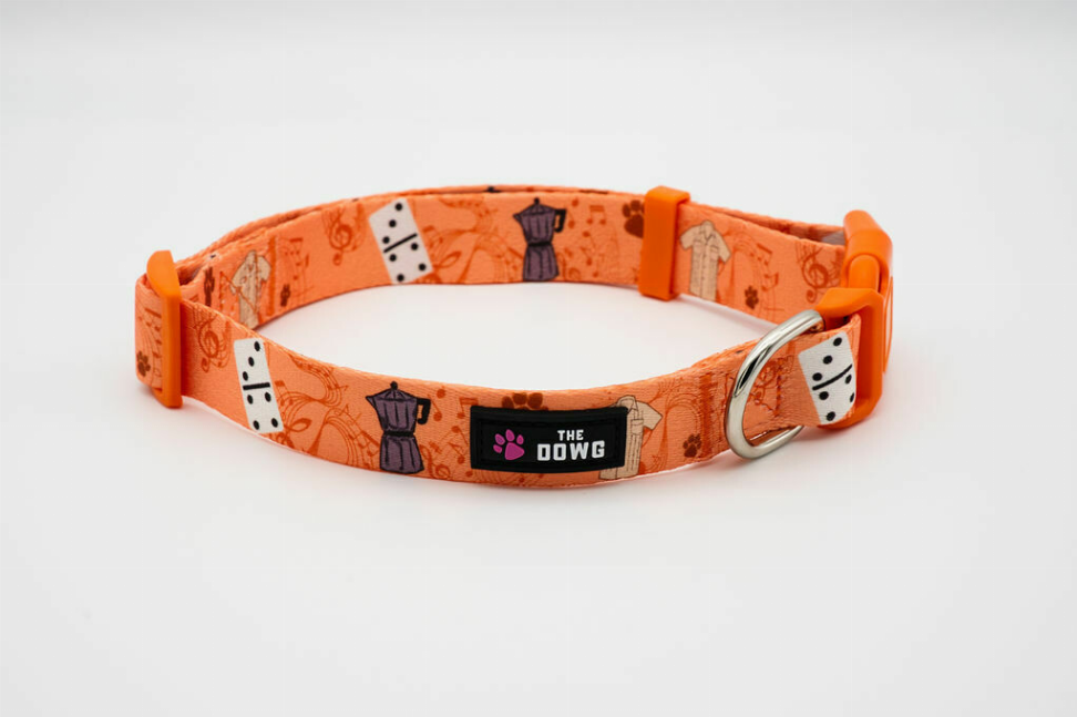 The Dowg Dog Collar - M Caribbean Canine