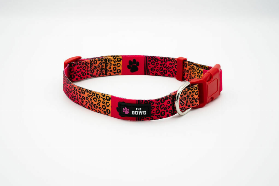 The Dowg Dog Collar - S Ruff And Rouge