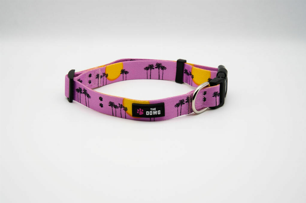 The Dowg Dog Collar - S Rose Pink