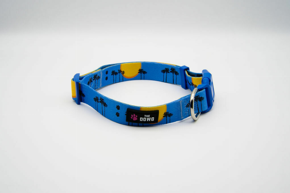 The Dowg Dog Collar - M Sky Blue