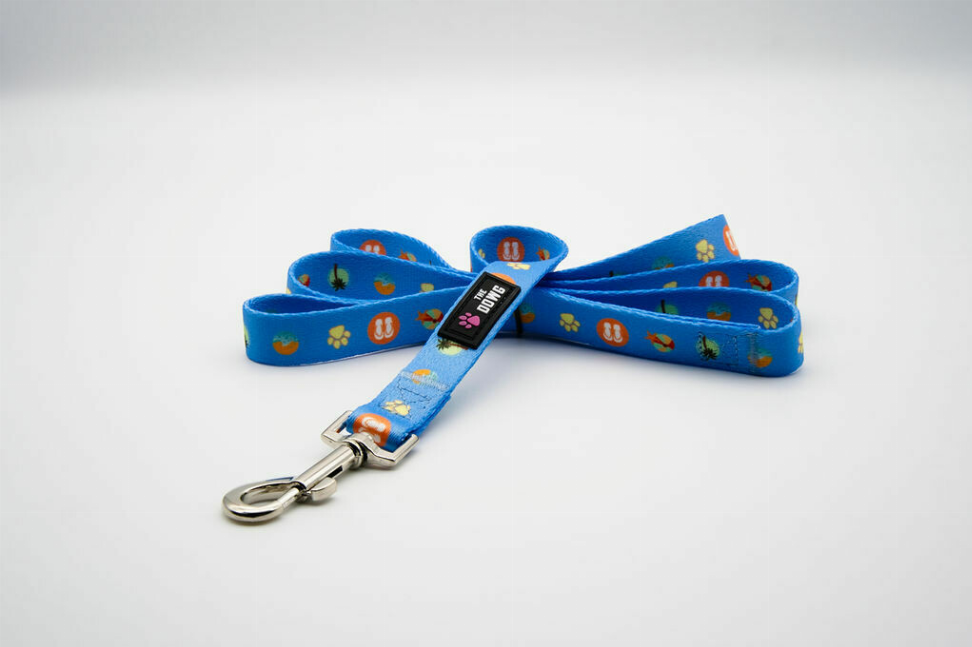 The Dowg Dog Leash Large Beach Blue