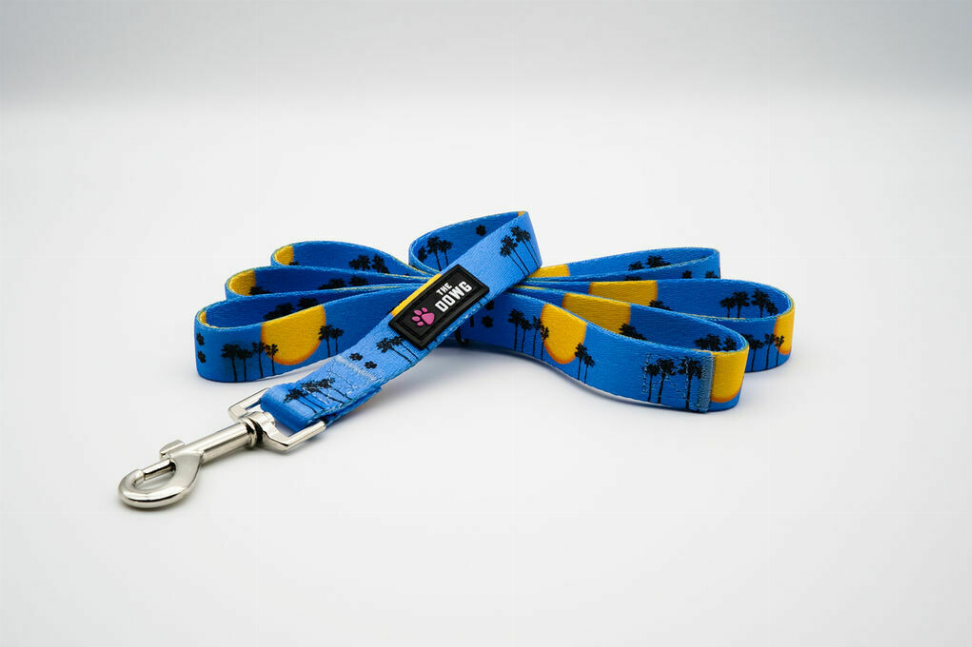 The Dowg Dog Leash Large Sky Blue