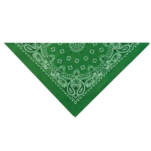 TP Paisley Bandana