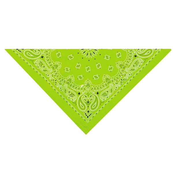 TP Paisley Bandana