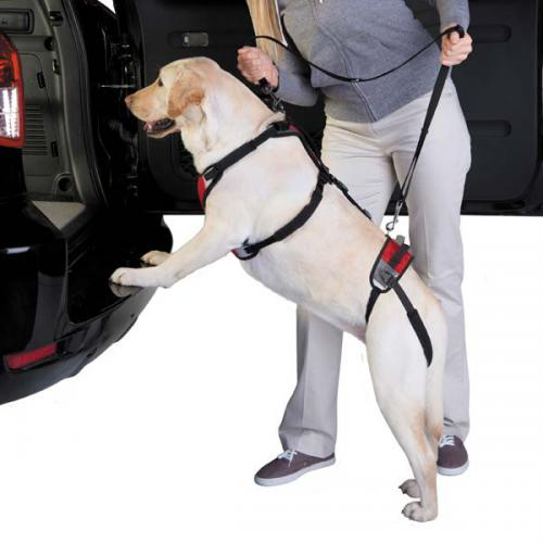 Total Pet Health Lift & Go Lead - XL Red