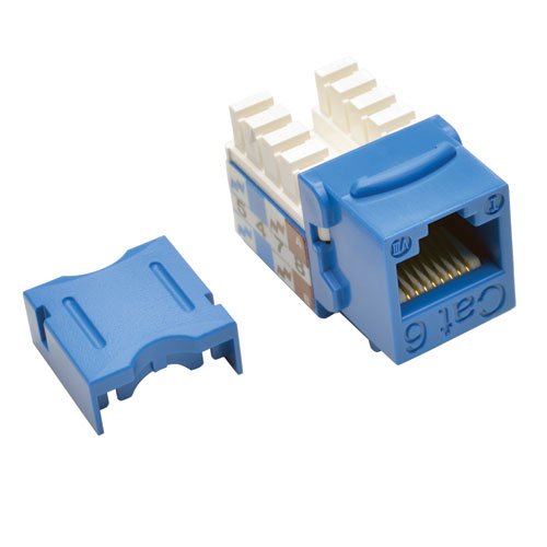 Cat6 Cat5e Jack Blue