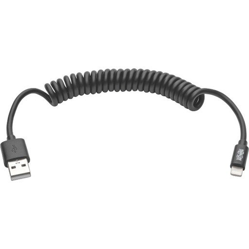 Apple Cable Coiled