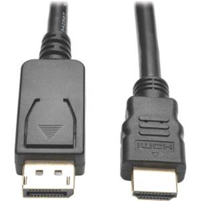 DPort HDMI Adapter 6'