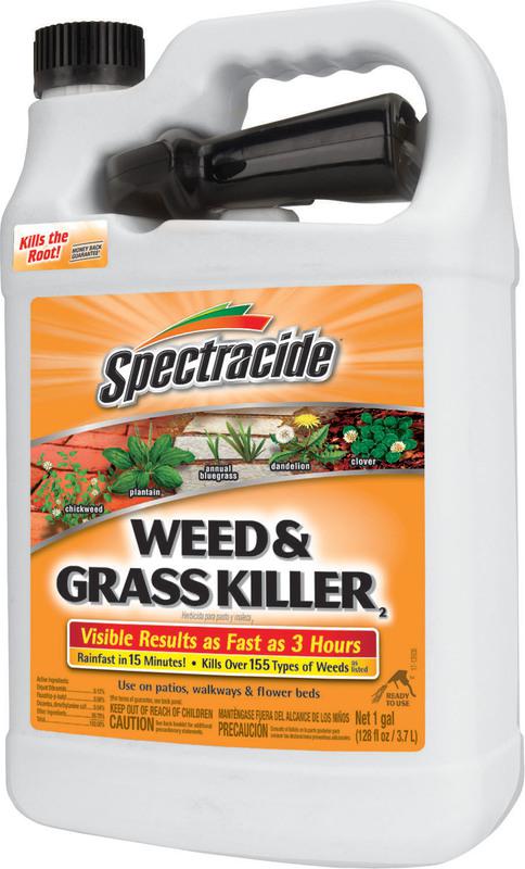 96017 1 Gal. Weed/Grass Killer